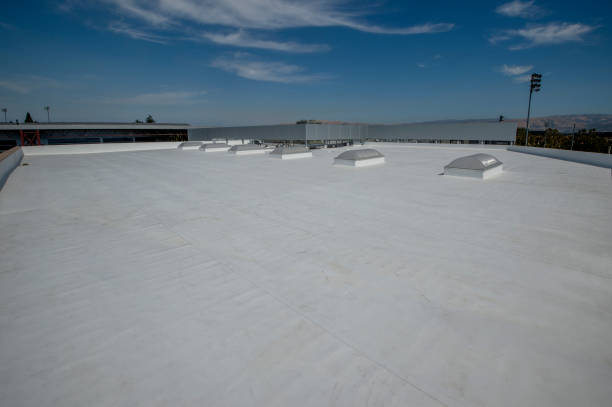Best Slate Roofing  in Evart, MI